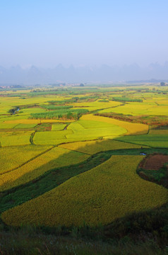 田园 田野 田园风景