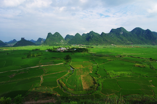 田园风光 美丽乡村 乡村风景