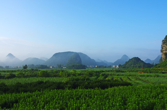 自然风光 田野风光