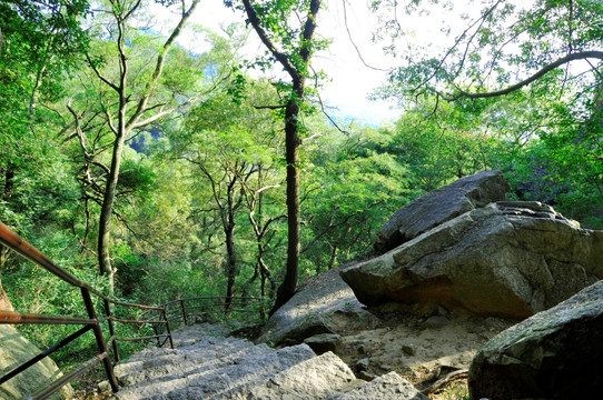 山间险道