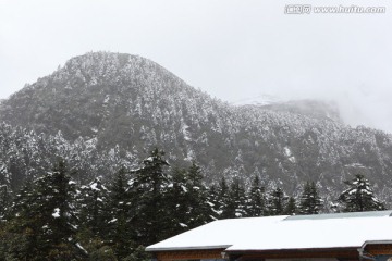 海螺沟冰川森林