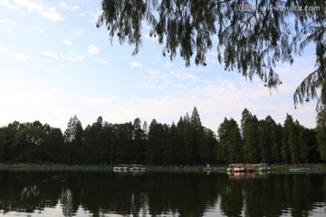 东湖梅园风景