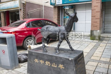 关中奶山羊侧面