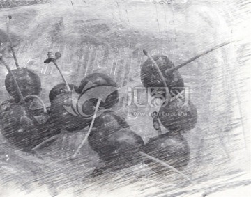 櫻桃素描