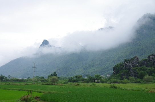 山 晨雾