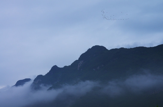 山 晨雾