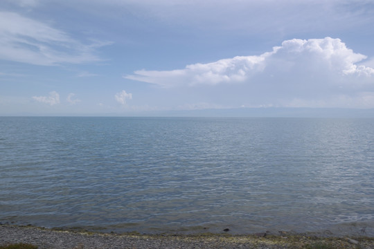 青海湖 鸟岛