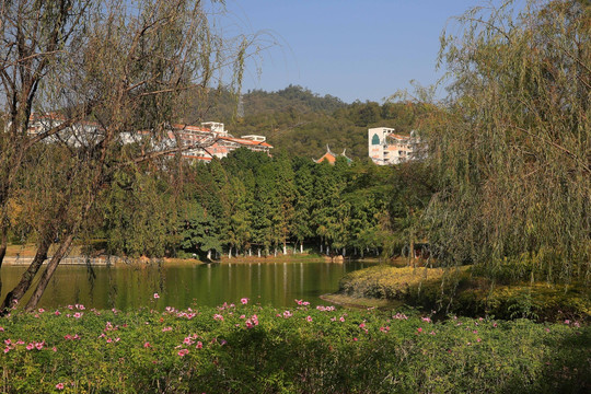 厦门大学芙蓉湖风光