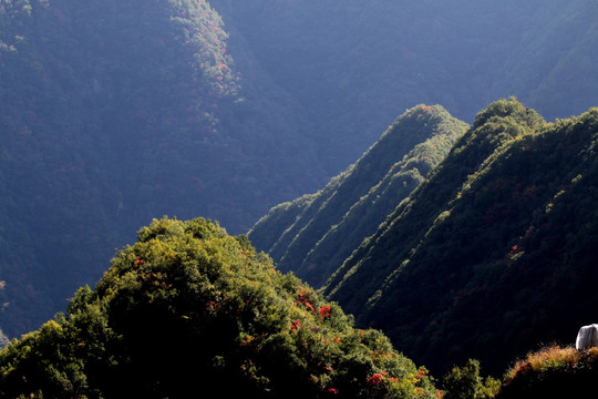 山峰