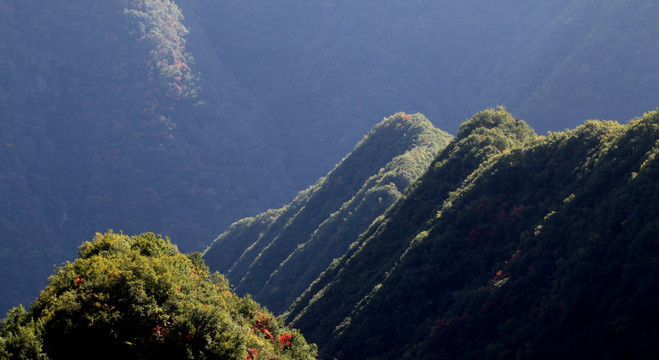 山峰