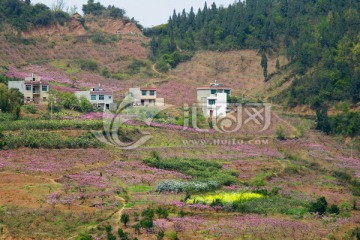 山村春色