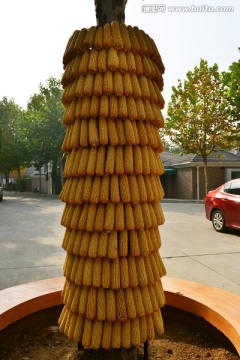 玉米棒子造型