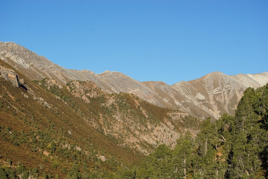 澜沧江上游河谷 牧区 山峦起伏