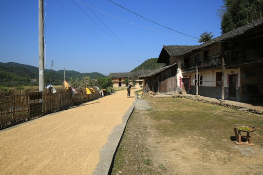 农村风景