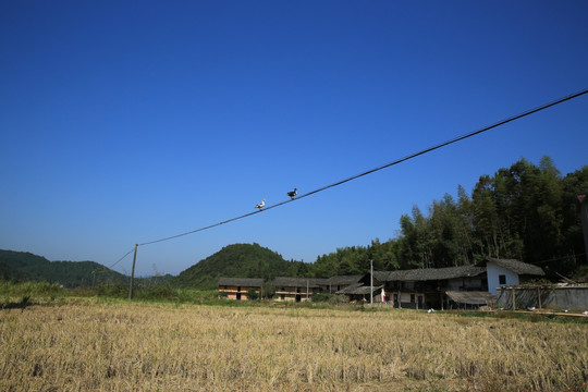 农村风景