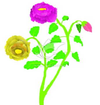 手繪花卉