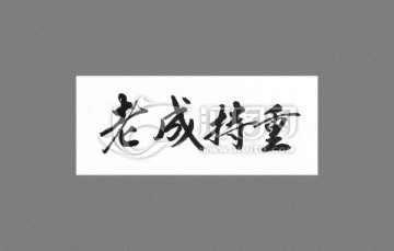 老成持重