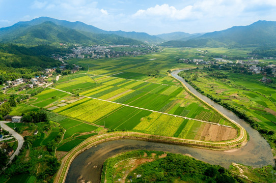 四都全景