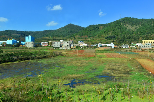 乡村水塘