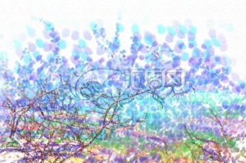 枝葉