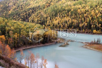 喀纳斯河秋景