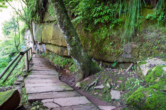 蜀道山道