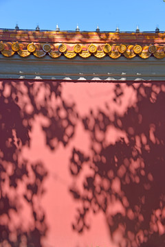 树影斑驳的墙TIF高清素材