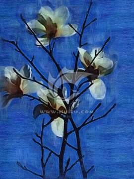 玉蘭花裝飾畫(huà)