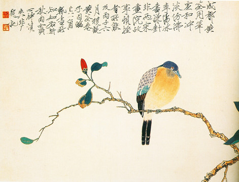 花鳥國畫 黃鸝