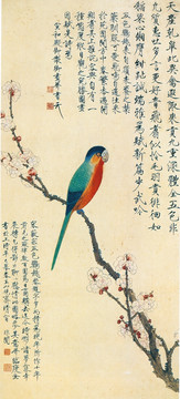 花鳥國畫 杏花鸚鵡