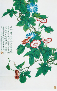 花鸟国画 牵牛花