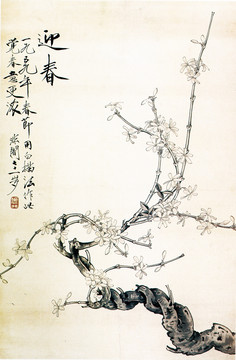 花鳥國畫 迎春