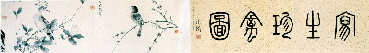 花鳥國畫 寫生珍禽