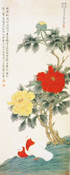 花鳥國畫 牡丹雙鴿