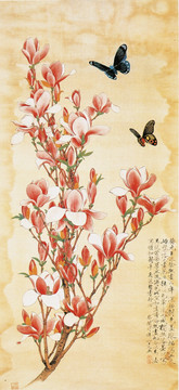 花鳥國畫 辛夷蝴蝶