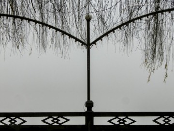 大雾笼罩的扶栏 路灯 垂柳