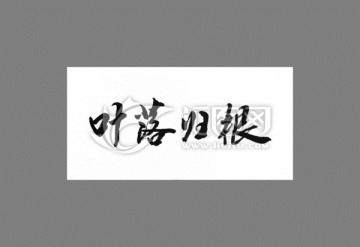 葉落歸根