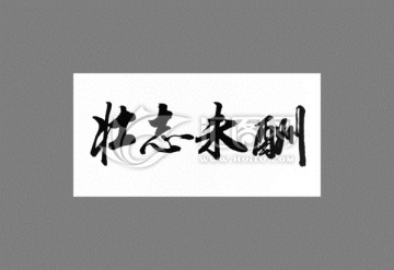 壯志未酬