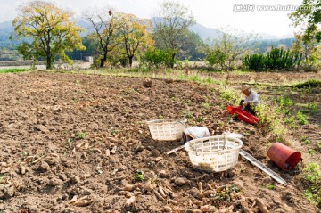 罗田风光