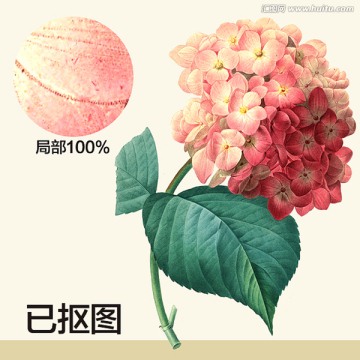 手绘花型