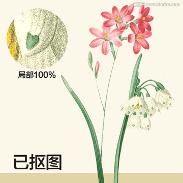 手繪花卉 水彩畫(huà)