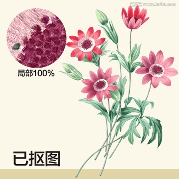 手繪花卉