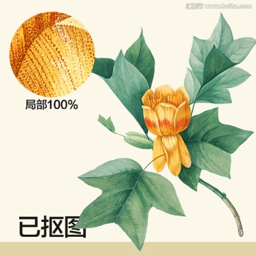 手繪花卉