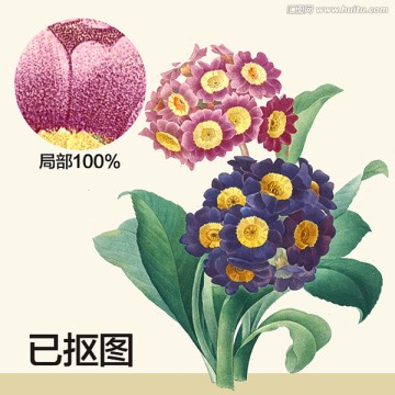 手繪花