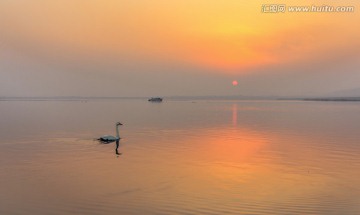 金色阳光洒满水面