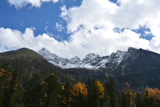 毕棚沟雪山