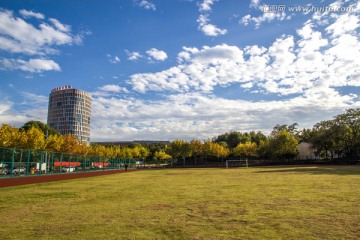 校园风景 操场 秋天