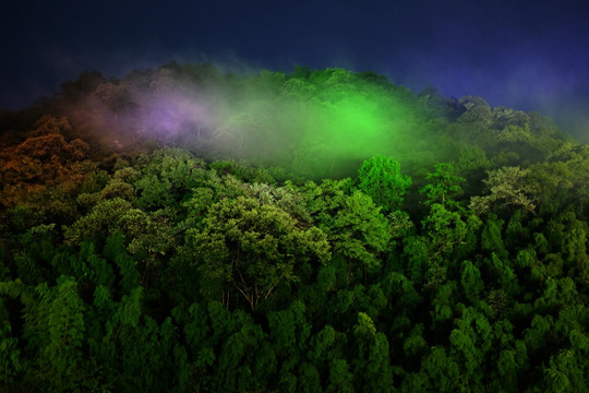 牯牛降夜景