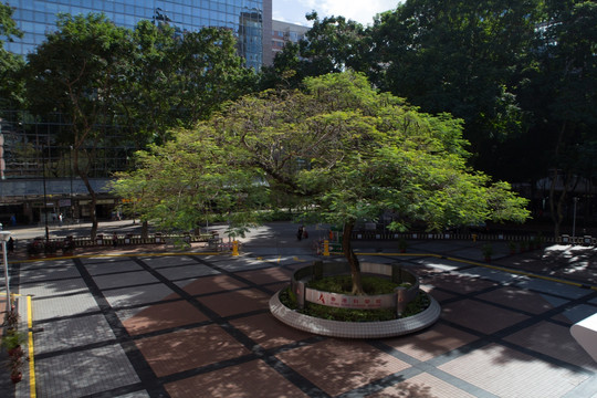 香港科学馆