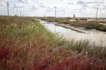 湿地油田的河流
